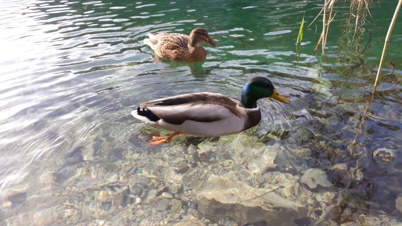 Vacation House Home, Plitvice Lakes National Park Plitvicka Jezera Exterior foto